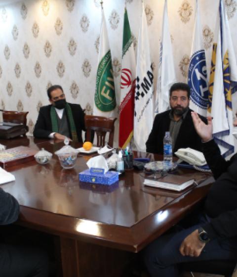 مینا رحیمی (نمونه)