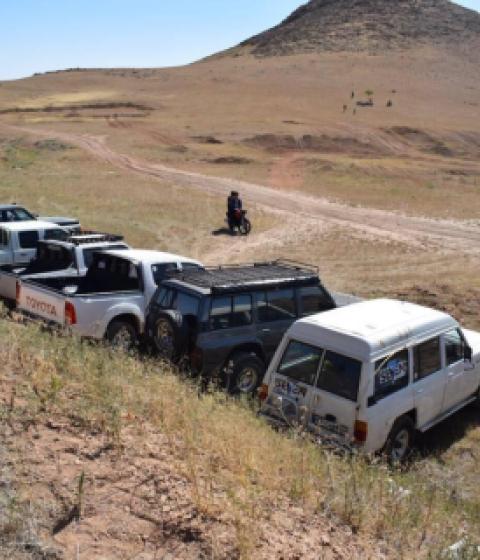 پویا کریمی (نمونه)